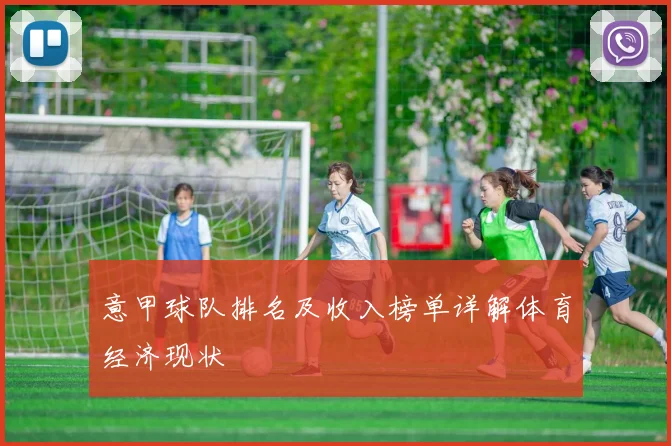 意甲球队排名及收入榜单详解体育经济现状