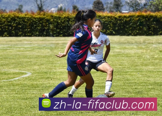 世界杯买球平台生态图