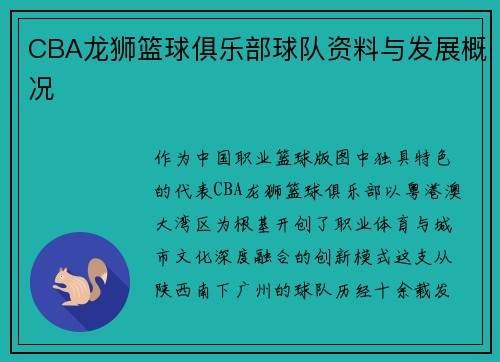 CBA龙狮篮球俱乐部球队资料与发展概况